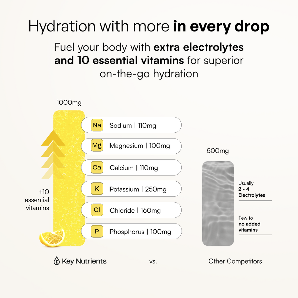 Electrolyte Recovery Plus Powder (Sugar-Free) Key Nutrients