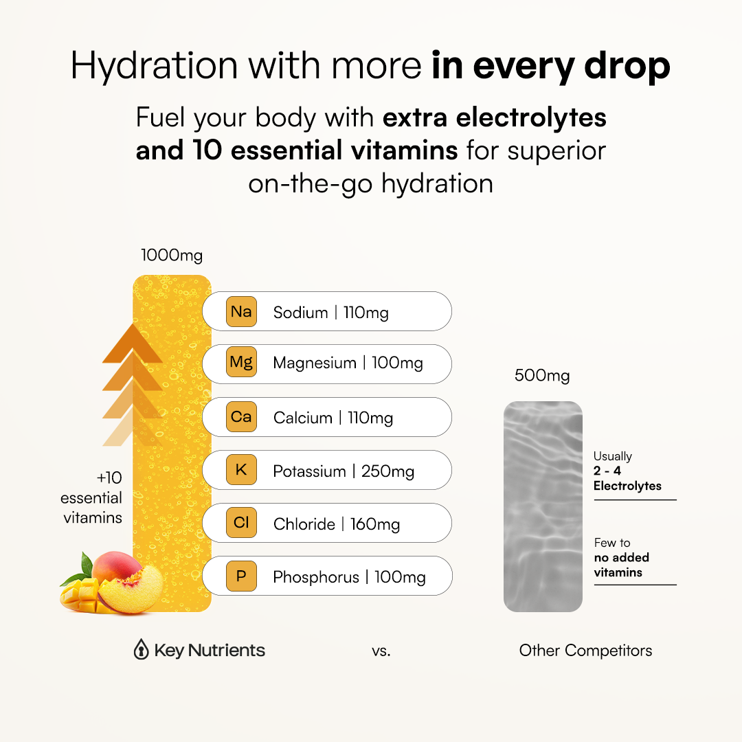 Electrolyte Recovery Plus Powder (Sugar-Free) Key Nutrients