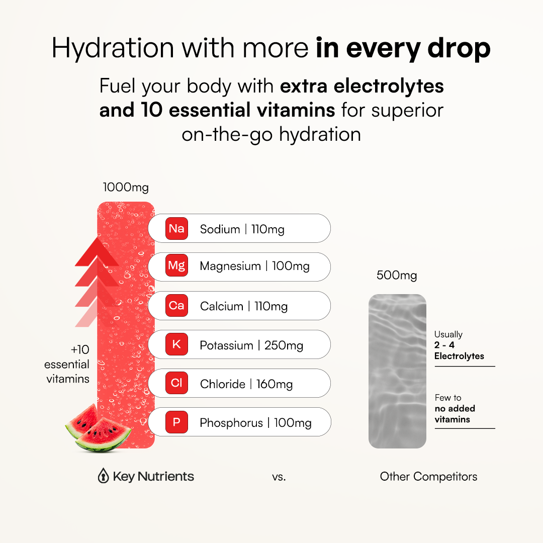 Electrolyte Recovery Plus Powder (Sugar-Free) Key Nutrients