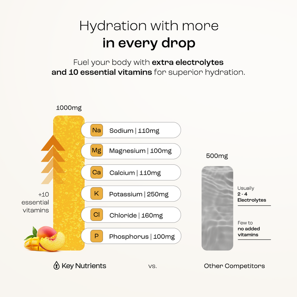 Electrolyte Recovery Plus Powder (Sugar-Free) Key Nutrients