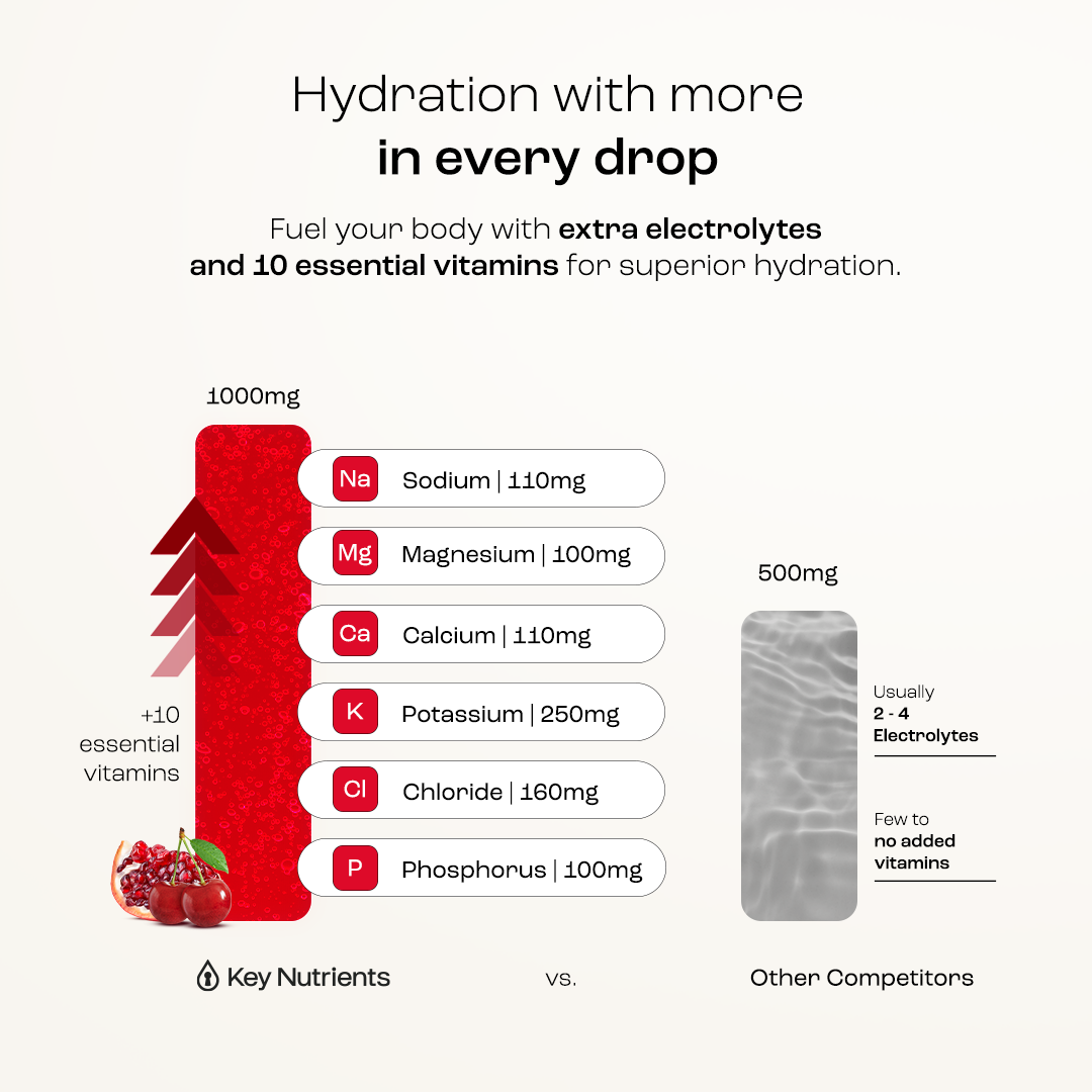 Electrolyte Recovery Plus Powder (Sugar-Free) Key Nutrients