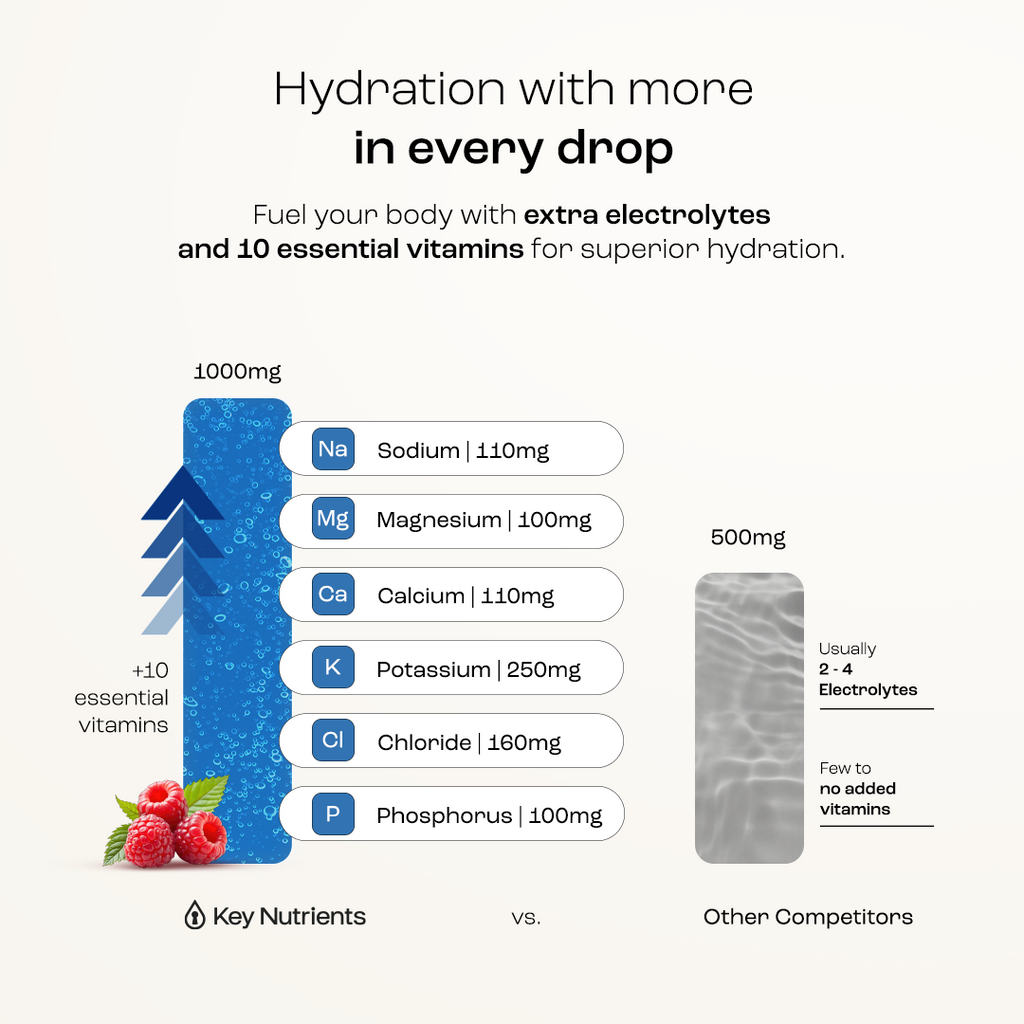 Electrolyte Recovery Plus Powder (Sugar-Free) Key Nutrients