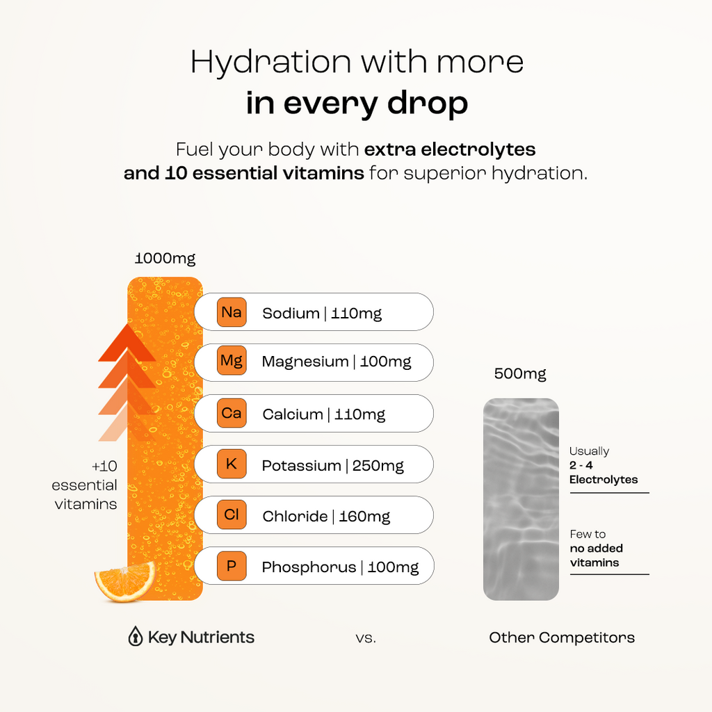Electrolyte Recovery Plus Powder (Sugar-Free) Key Nutrients
