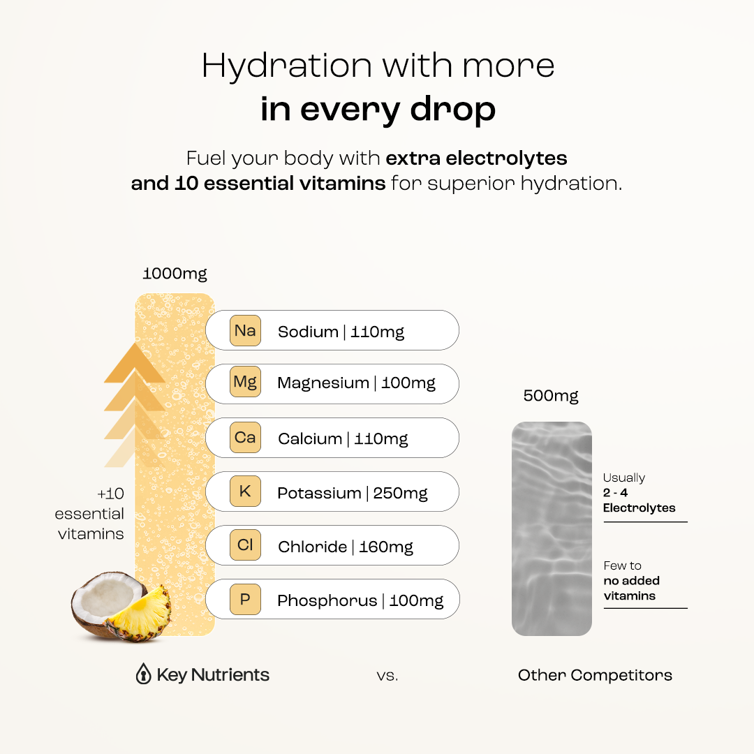 Electrolyte Recovery Plus Powder (Sugar-Free) Key Nutrients