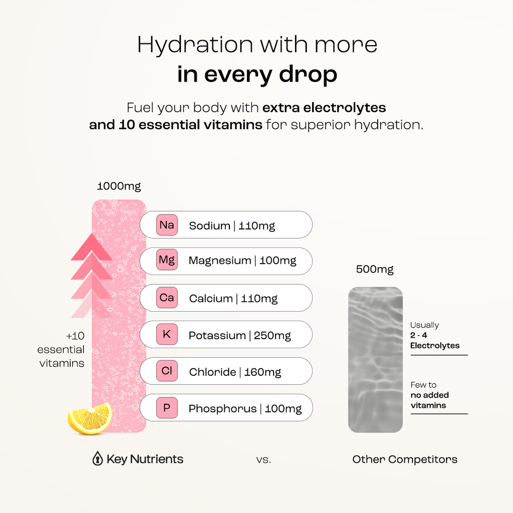 Electrolyte Recovery Plus Powder (Sugar-Free) Key Nutrients