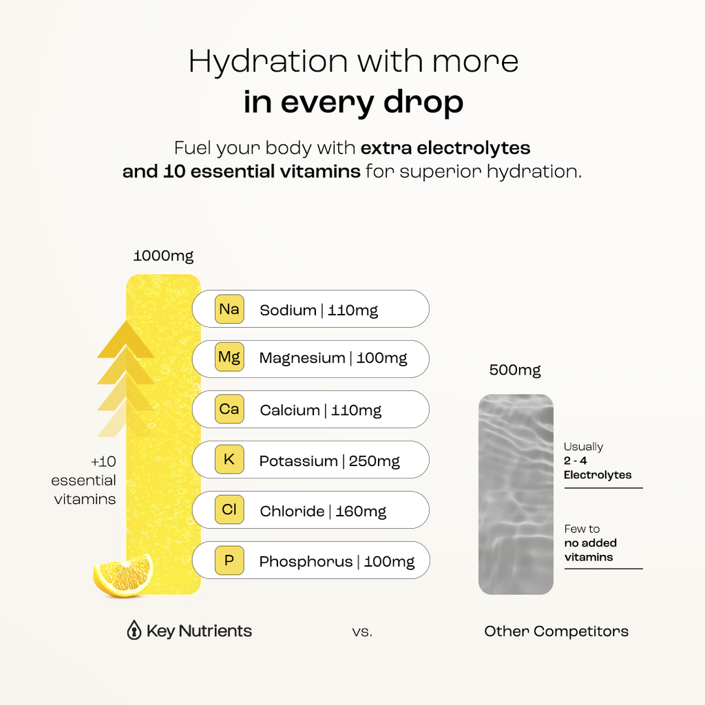 Electrolyte Recovery Plus Powder (Sugar-Free) Key Nutrients