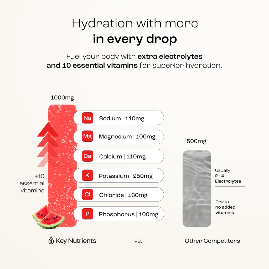 Electrolyte Recovery Plus Powder (Sugar-Free) Key Nutrients