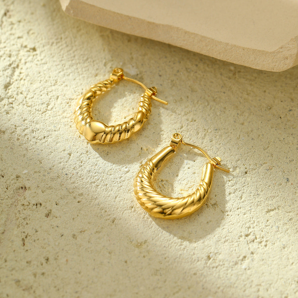 New Textured Titanium Steel Earrings Vera Lux