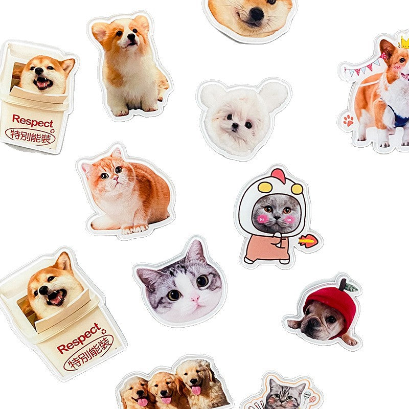 Acrylic Refrigerator Magnets With Magnetic Photos DIY Vera Lux