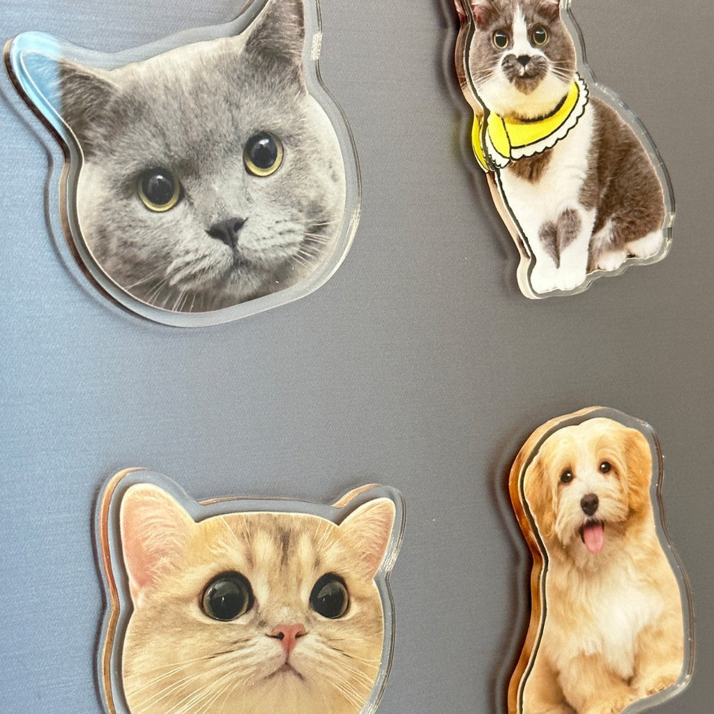 Acrylic Refrigerator Magnets With Magnetic Photos DIY Vera Lux