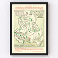 Vintage Map of Augusta National Golf Course, 1954 Teds Vintage Art