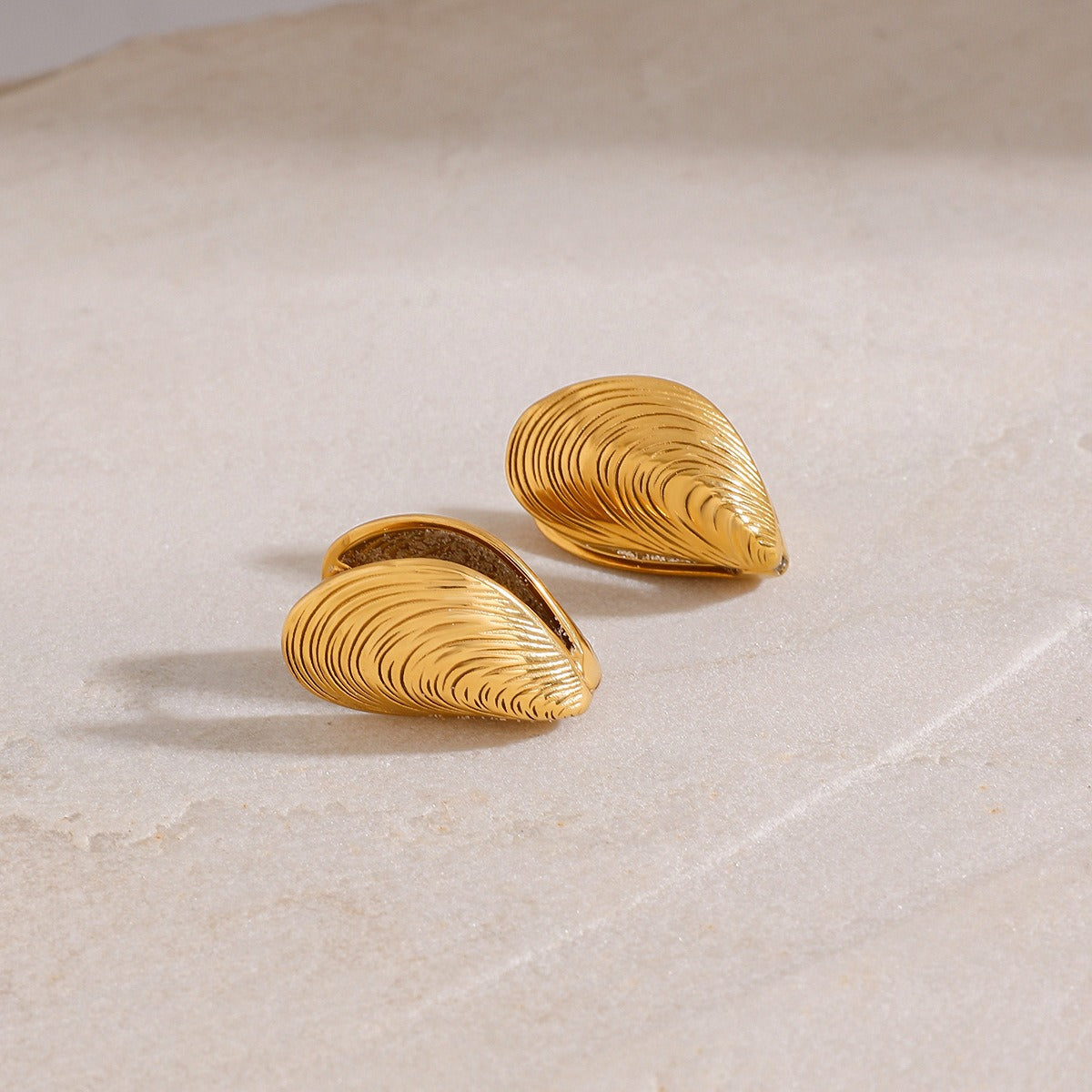 18K gold open sea clam with textured design exquisite and fashionable earrings Vera Lux