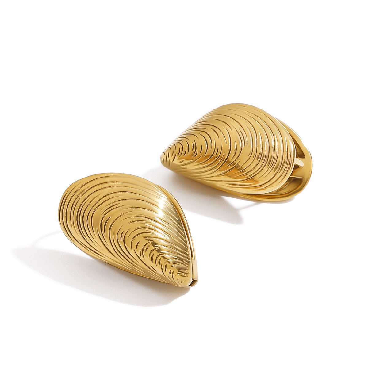 18K gold open sea clam with textured design exquisite and fashionable earrings Vera Lux