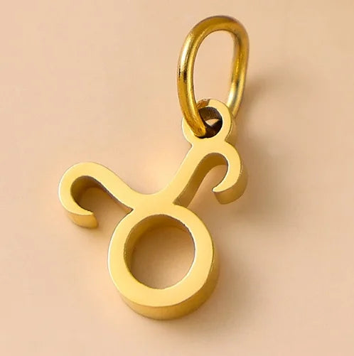 10PCS Stainless Steel Star Zodiac Sign 12 Constellation Pendant Accessories for Necklace Women Man Jewelry Gifts Wholesale Vera Lux