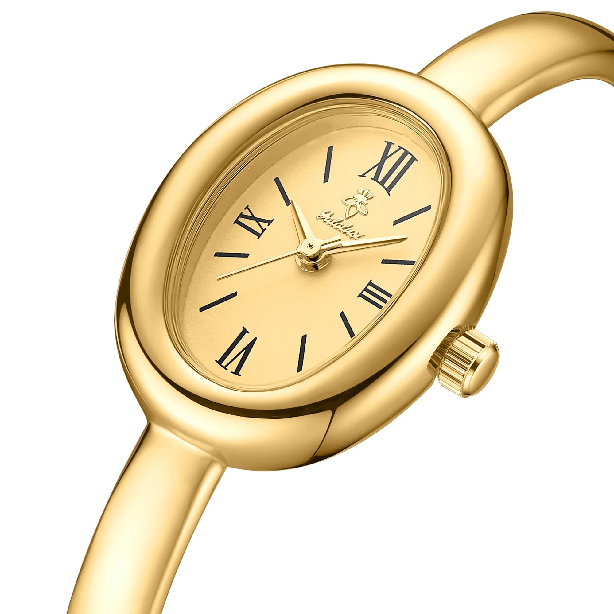 YaLaLuSi Brand Women's Watch: Stylish, Minimalist Bracelet Watch, Water-Resistant Quartz Watch, Gift reloj mujer watch for girls Vera Lux