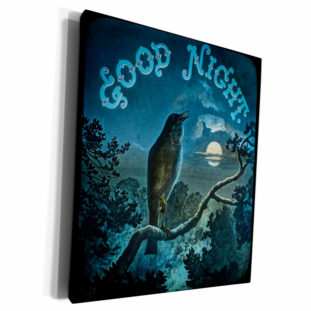 3dRose Good Night Bird on a Branch Vintage Circa 1890s - Museum Grade Canvas Wrap (cw-359108) 3dRose
