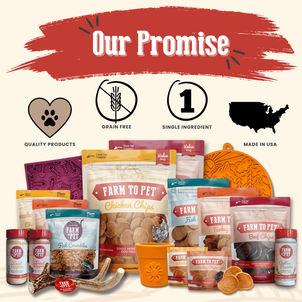 Chicken Chips for Dogs | All-Natural Single-Ingredient Dog Treats Farm To Pet