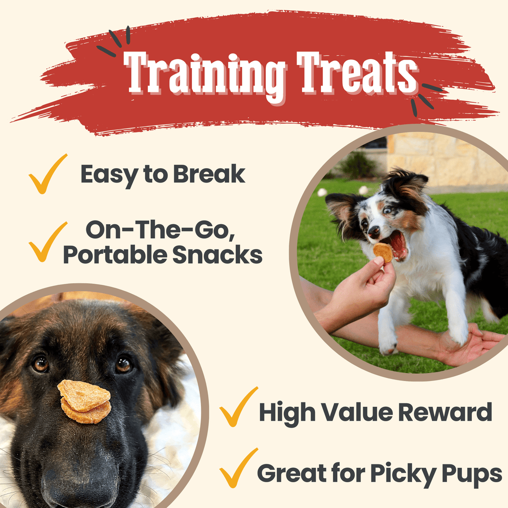 Chicken Chips for Dogs | All-Natural Single-Ingredient Dog Treats Farm To Pet