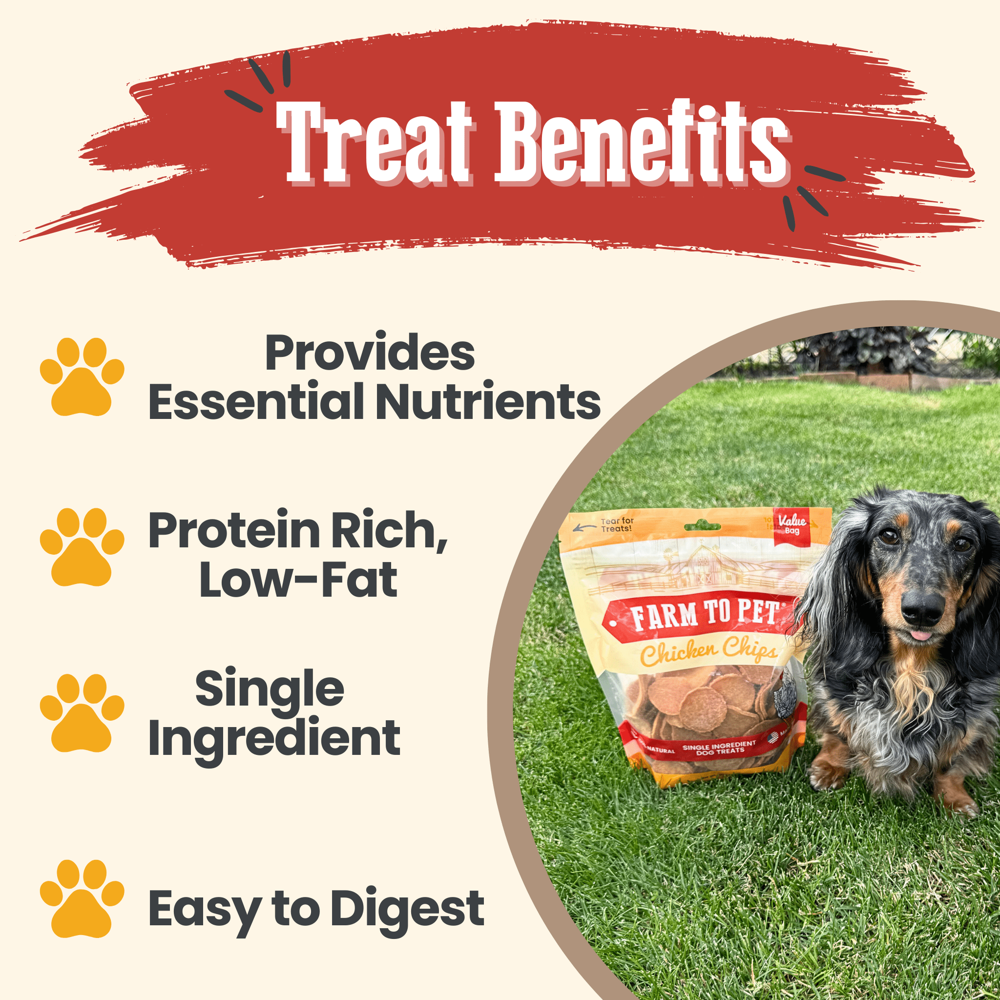 Chicken Chips for Dogs | All-Natural Single-Ingredient Dog Treats Farm To Pet