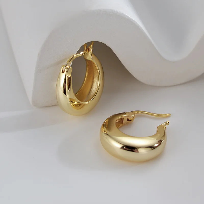 925 Sterling Silver plated Chunky Hoop Earrings for Women Geometric Circle Punk Ear Jewelry Party Gifts 2021 New Dropshipping Vera Lux