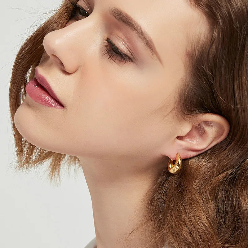 925 Sterling Silver plated Chunky Hoop Earrings for Women Geometric Circle Punk Ear Jewelry Party Gifts 2021 New Dropshipping Vera Lux