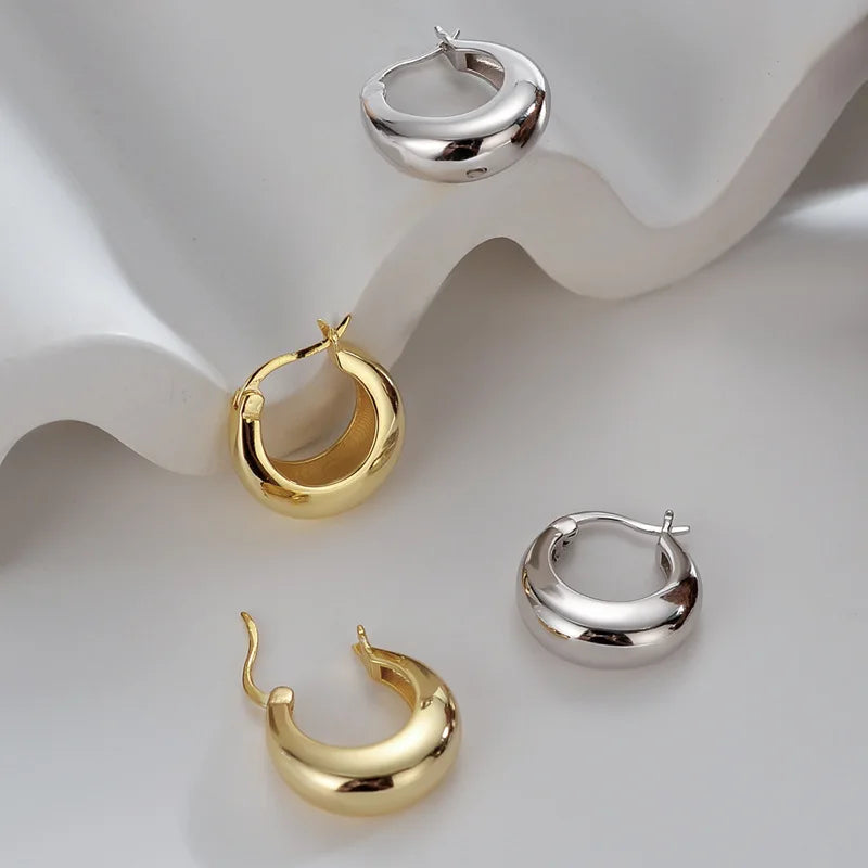 925 Sterling Silver plated Chunky Hoop Earrings for Women Geometric Circle Punk Ear Jewelry Party Gifts 2021 New Dropshipping Vera Lux