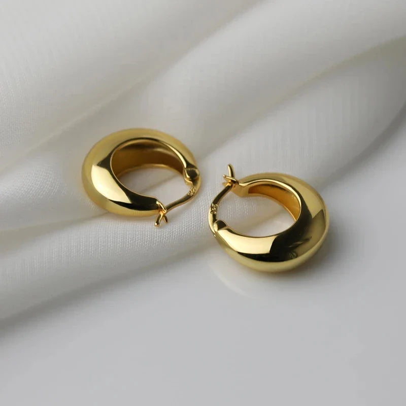 925 Sterling Silver plated Chunky Hoop Earrings for Women Geometric Circle Punk Ear Jewelry Party Gifts 2021 New Dropshipping Vera Lux