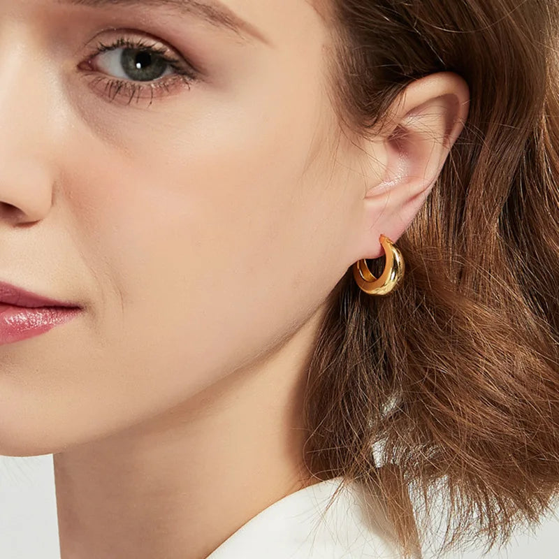 925 Sterling Silver plated Chunky Hoop Earrings for Women Geometric Circle Punk Ear Jewelry Party Gifts 2021 New Dropshipping Vera Lux