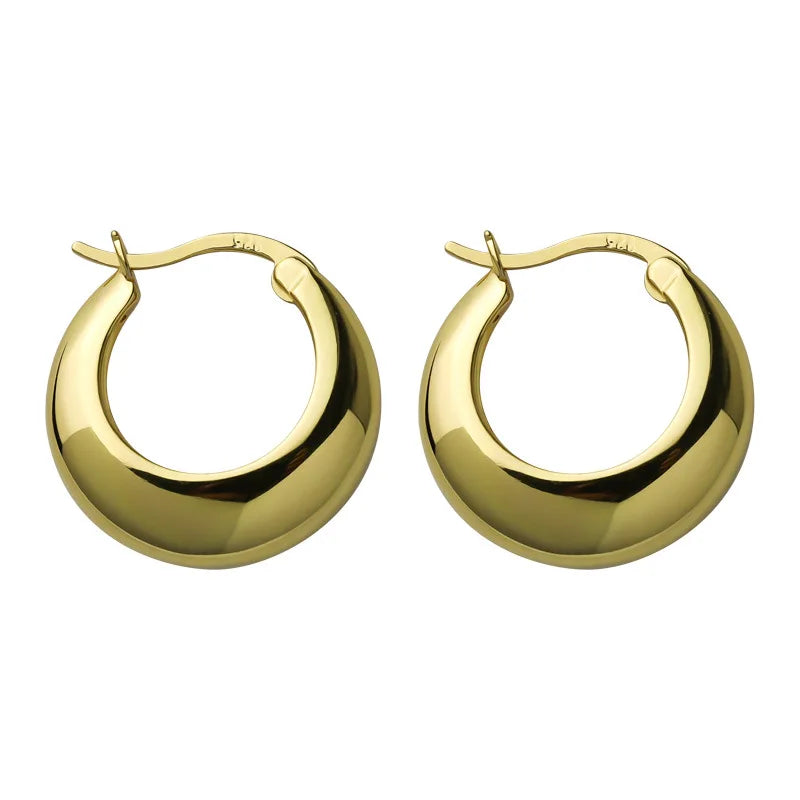 925 Sterling Silver plated Chunky Hoop Earrings for Women Geometric Circle Punk Ear Jewelry Party Gifts 2021 New Dropshipping Vera Lux