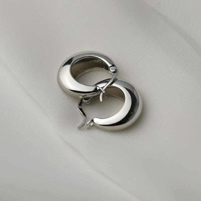925 Sterling Silver plated Chunky Hoop Earrings for Women Geometric Circle Punk Ear Jewelry Party Gifts 2021 New Dropshipping Vera Lux