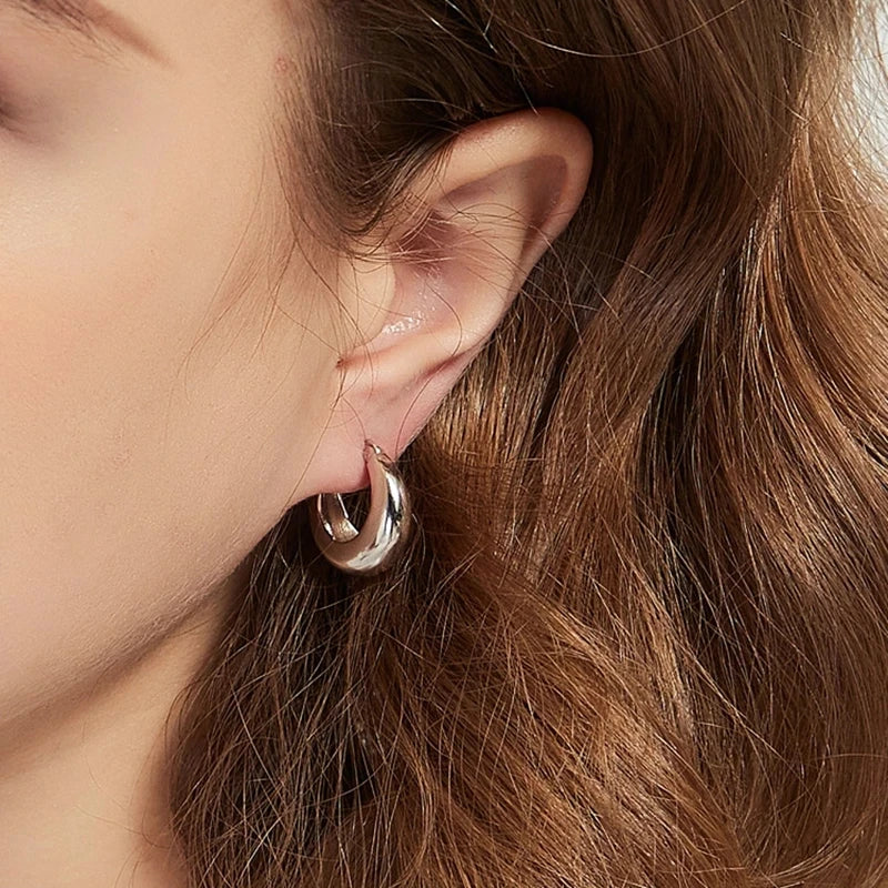 925 Sterling Silver plated Chunky Hoop Earrings for Women Geometric Circle Punk Ear Jewelry Party Gifts 2021 New Dropshipping Vera Lux