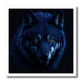 3dRose Mystical, Magical Wolf Portrait. Yellow Eyes. Dark... - Iron on Heat Transfers (ht-379386) 3dRose