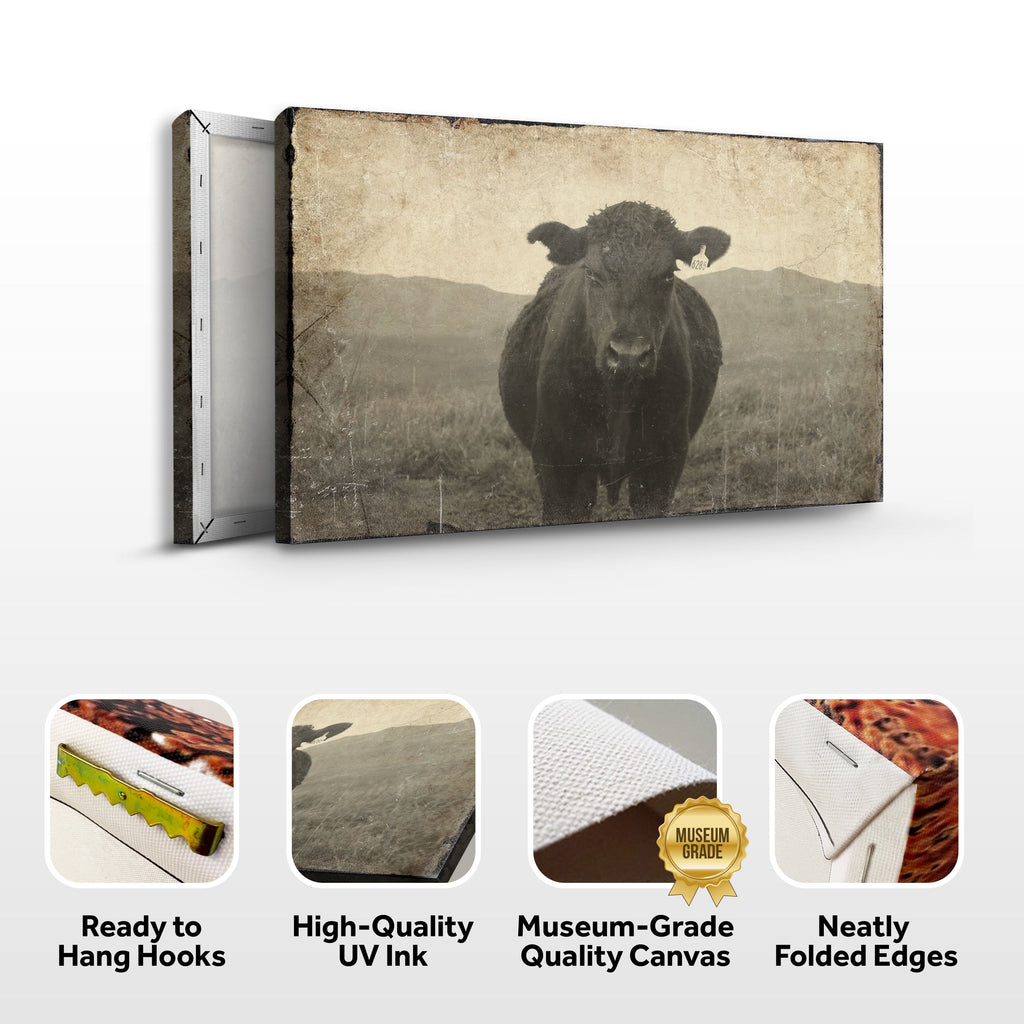 Vintage Angus Portrait Canvas Wall Art Tailored Canvases