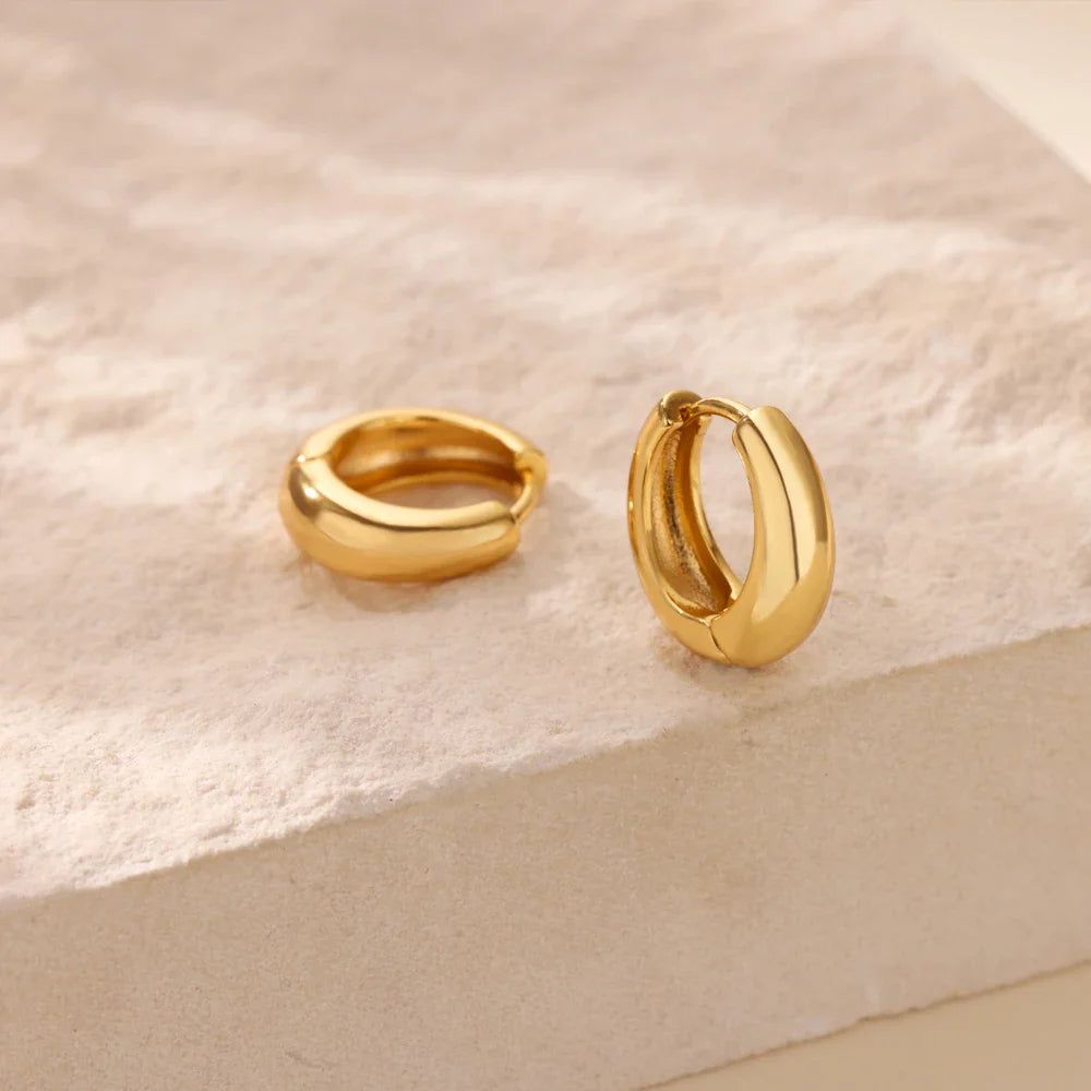 Classic Hoop Earrings for Women Chunky Stainless Steel Gold Color Earring 2025 Trend New in Minimalist Pendientes Jewelry aretes Vera Lux
