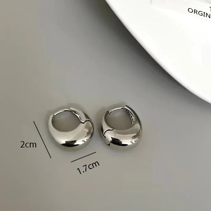 Stainless Steel Smooth Metal Chunky Hoop Earrings For Women Girls Fashion Round Circle Hoops Statement Earrings Punk Jewelry Vera Lux