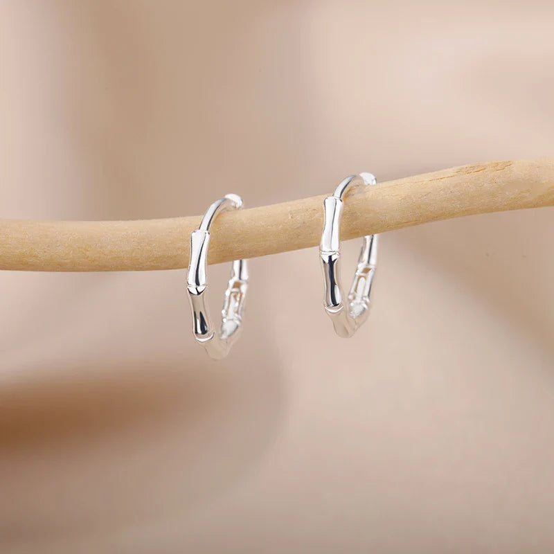 Zircon Evil Eye Earrings For Women Stainless Steel Gold Color Pendientes Piercing Earring Goth 2024 New In Jewelry aretes mujer Vera Lux