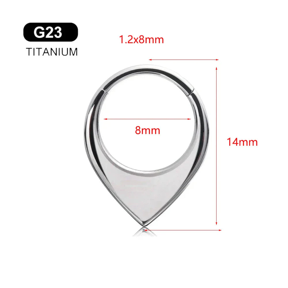 G23 Titanium Bee Septum Nose Ring Piercing Body Jewelry 16G Moon Segment Snake Clicker Helix  Ear Cartilage Heart Daith Hoop Vera Lux