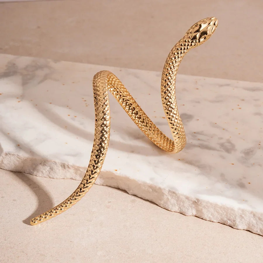 2025 New Arrival Snake Shaped Cuff Bracelet Ring Set for Women Exaggerated Metal Unique Design Bracelet Fashion Jewelry Set Vera Lux