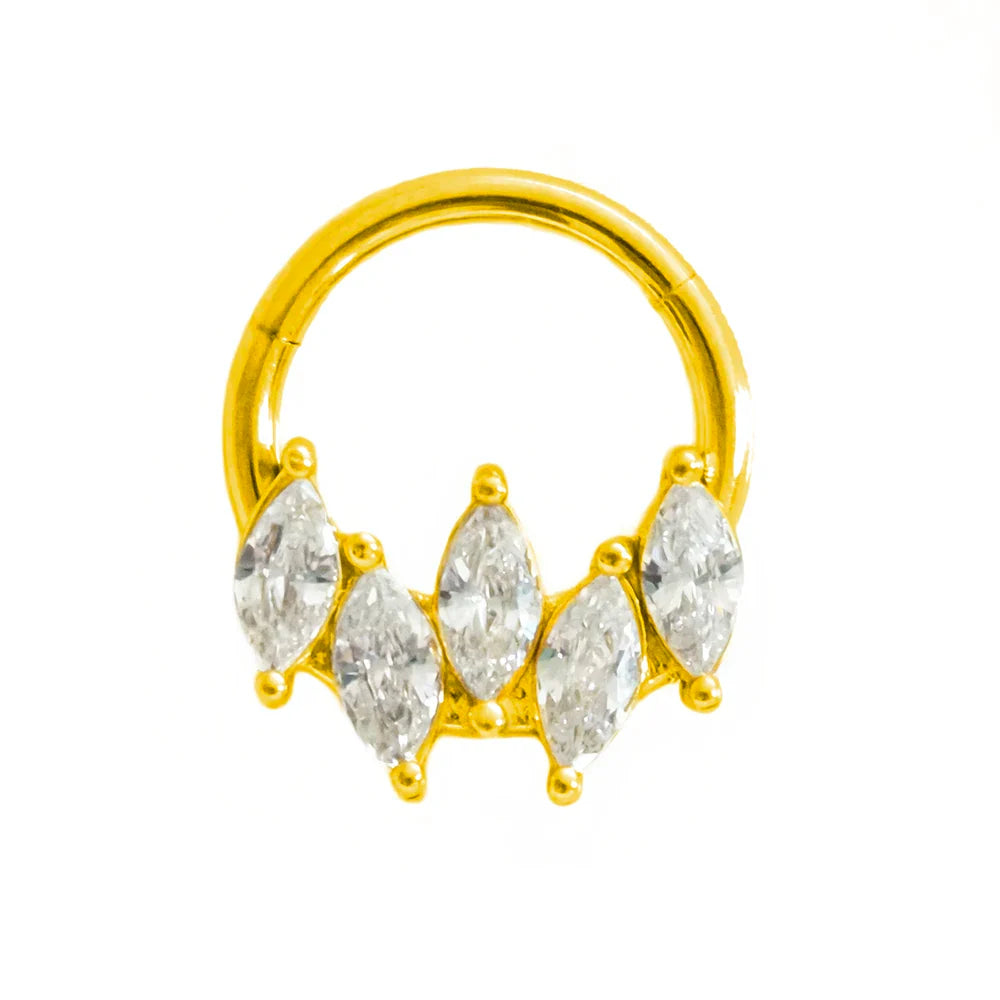 316L Surgical Steel Segment Nose Ring Zircon Septum Clicker Ear Cartilage Helix Daith Hoop Body  Piercing Jewelry Vera Lux