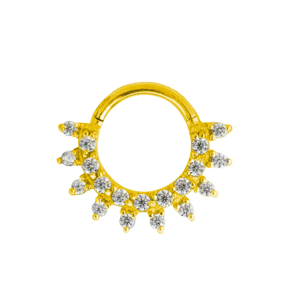 316L Surgical Steel Segment Nose Ring Zircon Septum Clicker Ear Cartilage Helix Daith Hoop Body  Piercing Jewelry Vera Lux