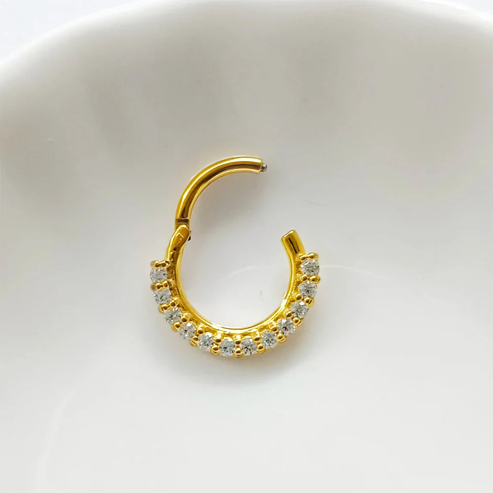 316L Surgical Steel Segment Nose Ring Zircon Septum Clicker Ear Cartilage Helix Daith Hoop Body  Piercing Jewelry Vera Lux