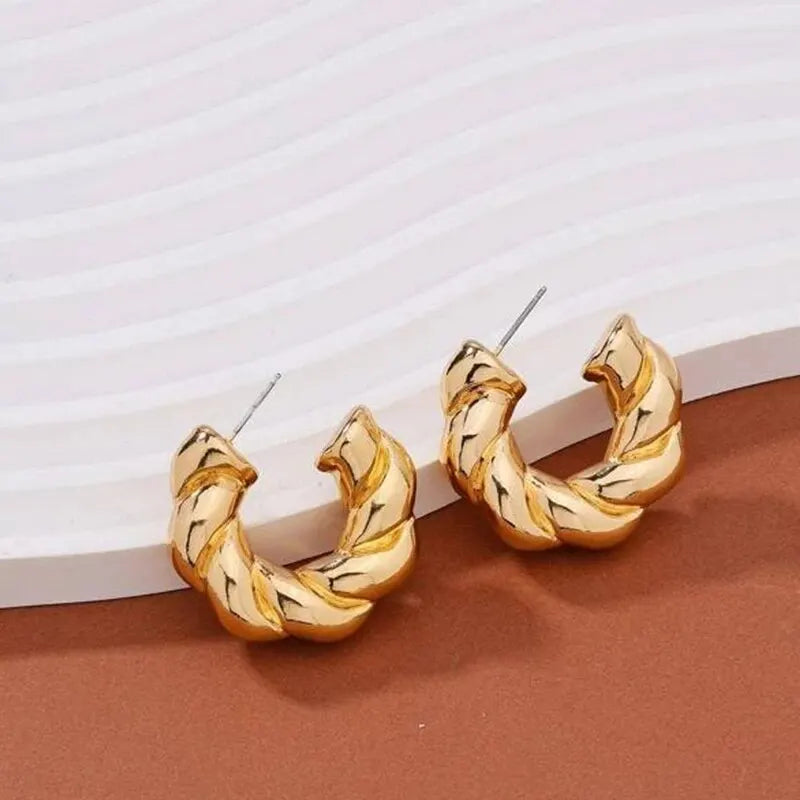 Gold Color Crystal Stone Hoop Earrings Twisted Metal Shape Silver Plating New Fashion Women Earrings Party Jewelry Birthday Gift Vera Lux