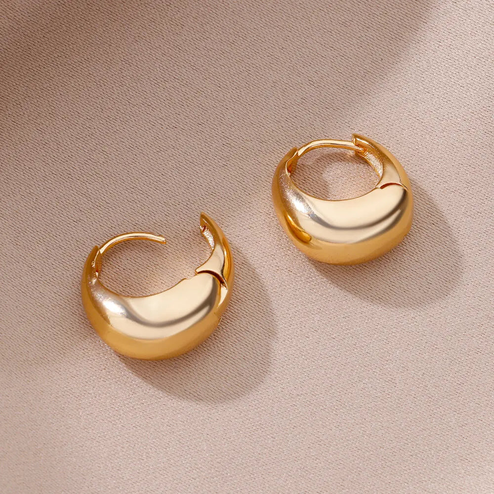 Chunky Drop Hoop Earrings for Women Stainless Steel Gold Color Piercing Earring 2024 Trend New In Trend Jewelry aretes mujer Vera Lux