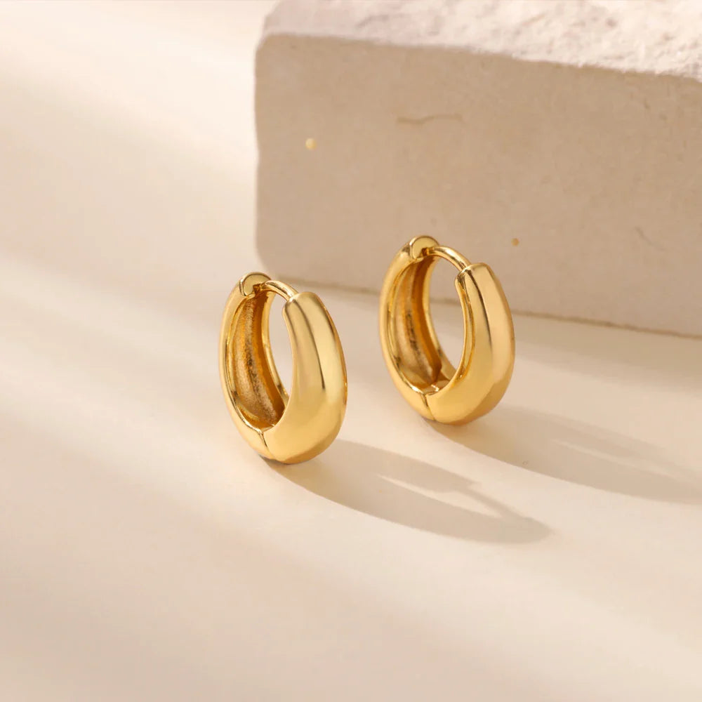 Classic Hoop Earrings for Women Chunky Stainless Steel Gold Color Earring 2025 Trend New in Minimalist Pendientes Jewelry aretes Vera Lux