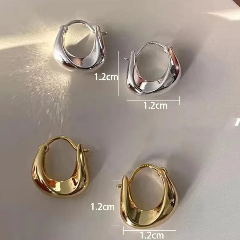925 Sterling Silver Earrings for Women Ear Hoop Versatile Sweet Girl Fashion Jewery New Year Gifts Accessories Vera Lux