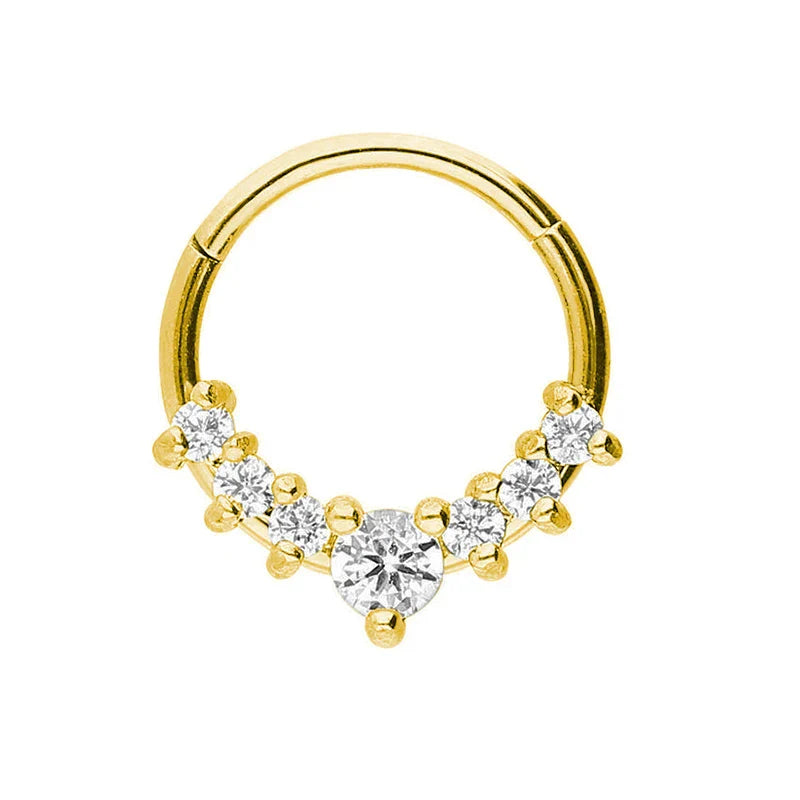 316L Surgical Steel Segment Nose Ring Zircon Septum Clicker Ear Cartilage Helix Daith Hoop Body  Piercing Jewelry Vera Lux