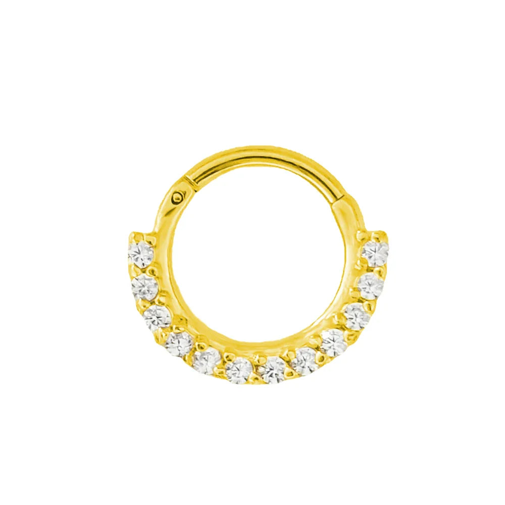 316L Surgical Steel Segment Nose Ring Zircon Septum Clicker Ear Cartilage Helix Daith Hoop Body  Piercing Jewelry Vera Lux