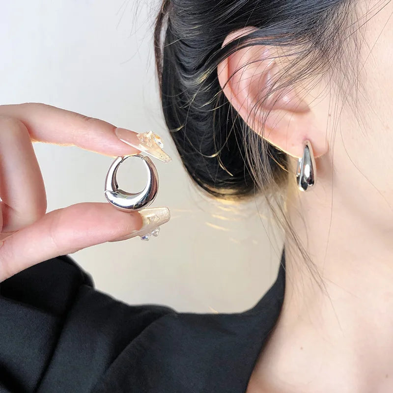 Stainless Steel Smooth Metal Chunky Hoop Earrings For Women Girls Fashion Round Circle Hoops Statement Earrings Punk Jewelry Vera Lux