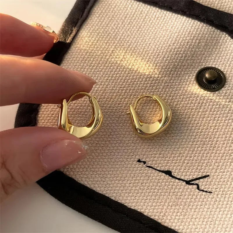 925 Sterling Silver Earrings for Women Ear Hoop Versatile Sweet Girl Fashion Jewery New Year Gifts Accessories Vera Lux