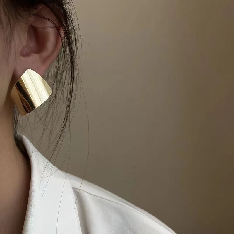 New Simple Metal Style Glossy Geometric Earrings For Women Fashionable Personalized Daily Accessory Party Jewelry Birthday Gifts Vera Lux
